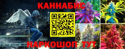 каннабис Владимир