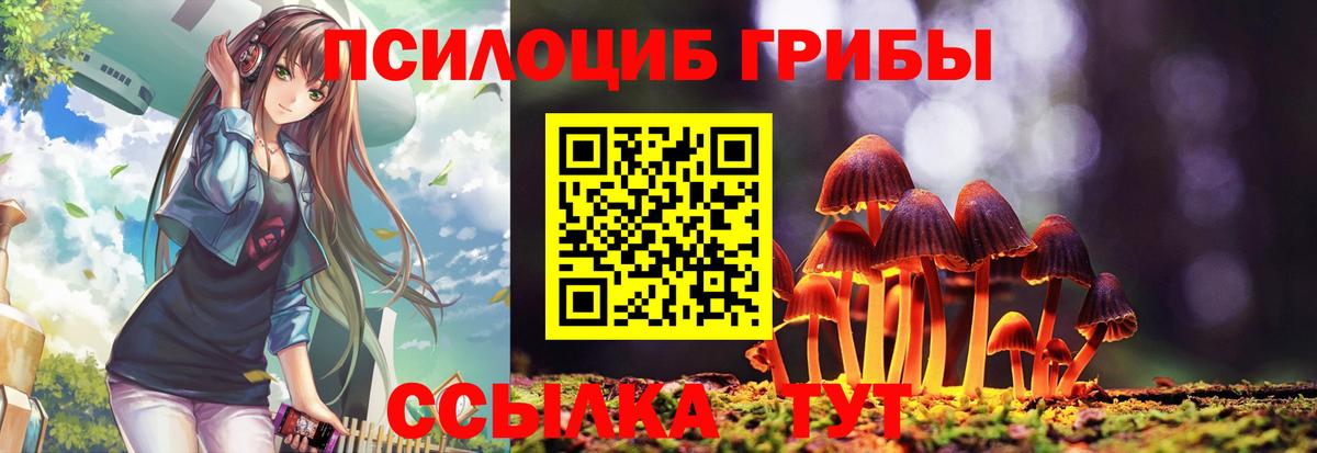 Галлюциногенные грибы MAGIC MUSHROOMS Астрахань