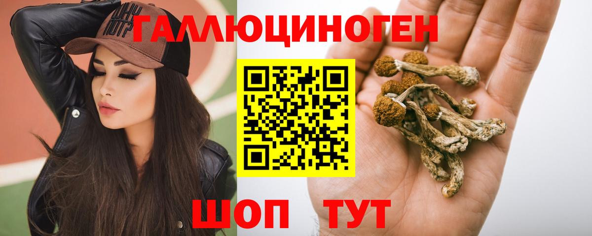 дарнет шоп  Псилоцибиновые грибы MAGIC MUSHROOMS  Вход с VPN  Псилоцибиновые грибы GOLDEN TEACHER  Астрахань 