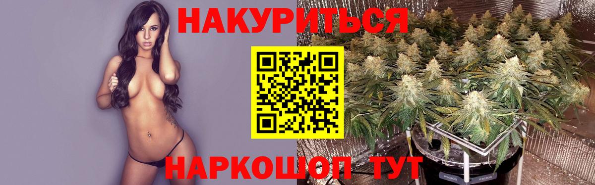Бошки марихуана гибрид Астрахань